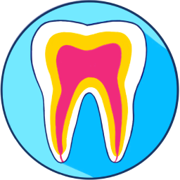 Endodoncie